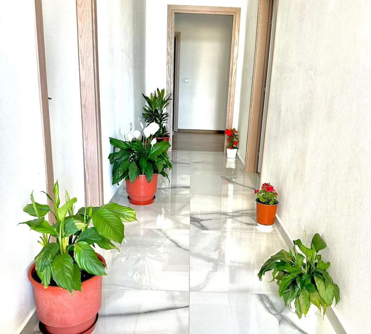 Apartaments Rraku Saranda Apartament